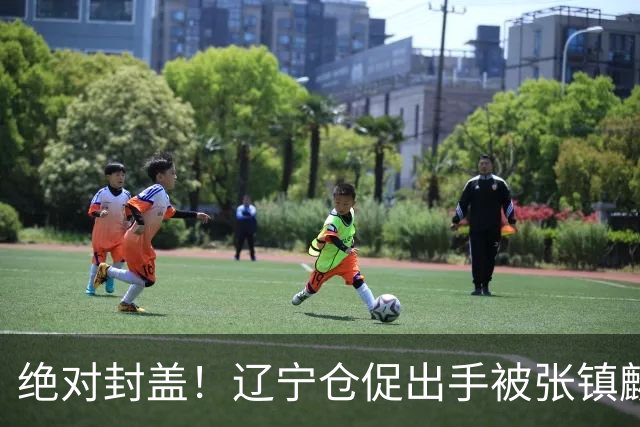 绝对封盖！辽宁仓促出手被张镇麟大帽拦截